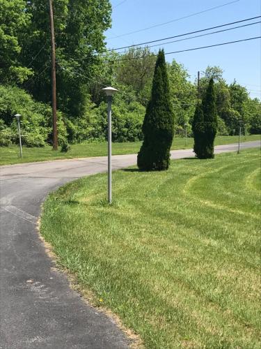 Κήπος έξω από το Allenwood Motel