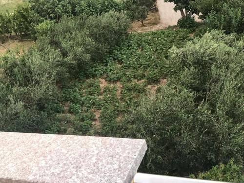 an overhead view of a garden with trees and bushes at Apartman MIG in Solin