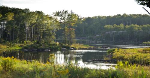 a river in the middle of a forest at Étoile du Matin by Rendez-Vous Mont-Tremblant in Mont-Tremblant