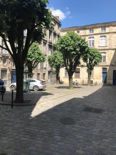 a street with trees in front of a building at Le triangle d or in Bordeaux