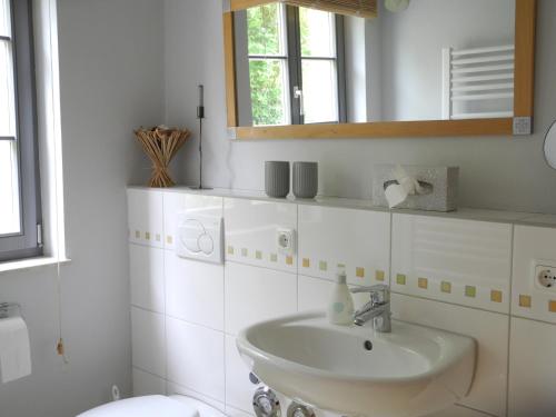 uma casa de banho com um lavatório, um espelho e um WC. em Ferienwohnung Geißler em Radebeul