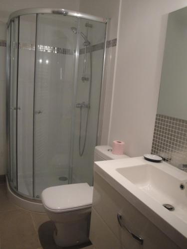 une salle de bain avec une douche, des toilettes et un lavabo dans l'établissement La Conciergerie, à Saint-Paterne-Racan