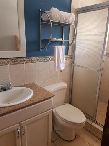 a bathroom with a toilet and a sink and a shower at Hotel Florencia in San Miguel