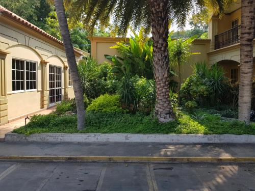 a building with palm trees next to a street at Hotel Florencia in San Miguel
