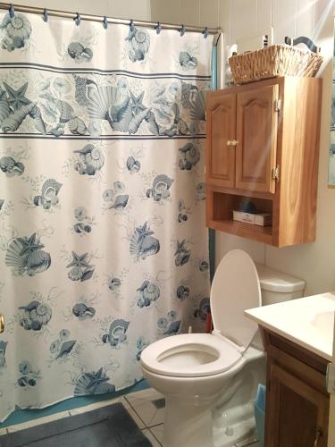 Koupelna v ubytování Cozy Chalet Free Wi-Fi, and Grill