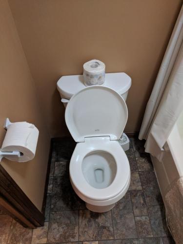 a bathroom with a toilet with a roll of toilet paper at Bavarian Inn in Bruce Mines