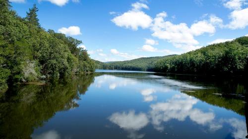 a river with trees and clouds in the water at Bluegums Cabins Barrington Tops in Bandon Grove
