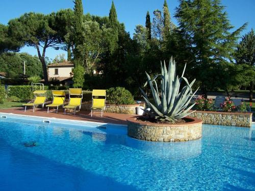 a potted plant sitting next to a swimming pool at Ortali Country House in Quarata