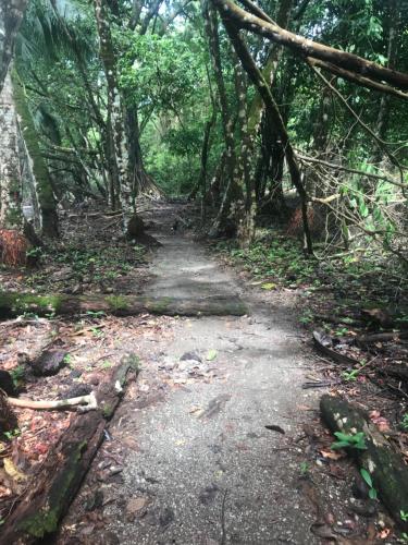 Landskap semula jadi dekat dengan hotel
