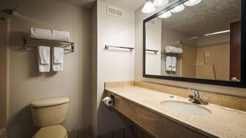ein Badezimmer mit einem Waschbecken, einem Spiegel und einem WC in der Unterkunft Best Western Magnolia Inn and Suites in Ladson