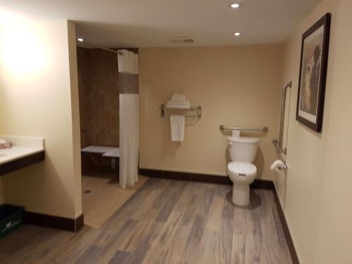 a bathroom with a toilet and a sink at Best Western Plus Durham Hotel & Conference Centre in Oshawa