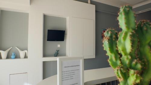 cactus en una habitación con TV y armario blanco en Apartments Giotis, en Paralia Katerinis