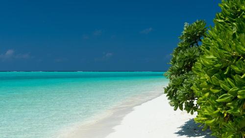 a beach with blue water and trees on it at Thoddoo Beach Holiday in Thoddoo