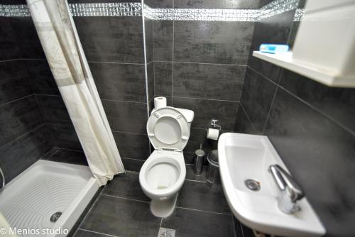 a bathroom with a toilet and a sink at Menios Apartments and Studios in Nea Kalikratia