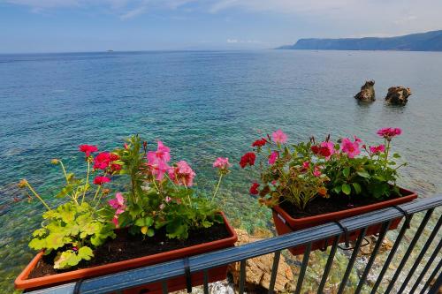 two pots of flowers on a balcony overlooking the water at Il Casato Deluxe Rooms in Scilla