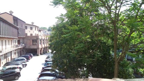 a row of cars parked on a street with trees at Il risveglio sul Giano in Fabriano