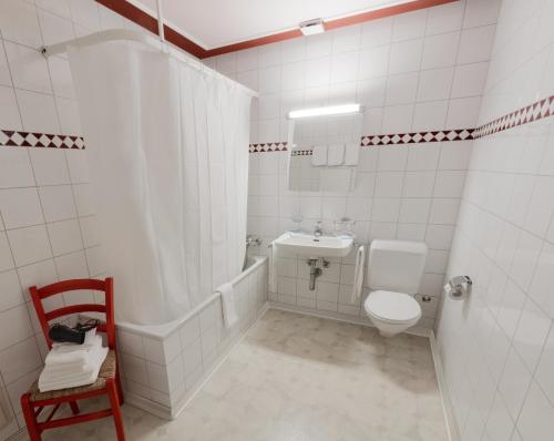 bagno bianco con servizi igienici e lavandino di Gasthof Zur Traube a Roggwil