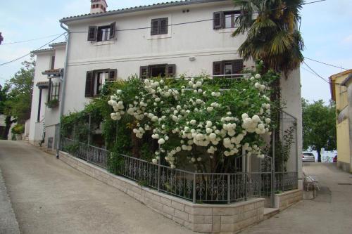 Apartments Renata - Brseč