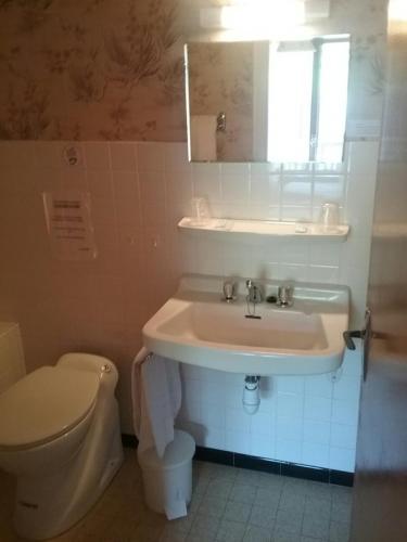 une salle de bain avec un lavabo et des toilettes dans l'établissement Hotel Restaurant Les Rosieres, à Manigod