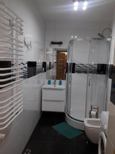 シュクラルスカ・ポレンバにあるApartament Agaのバスルーム(シャワー、洗面台、トイレ付)