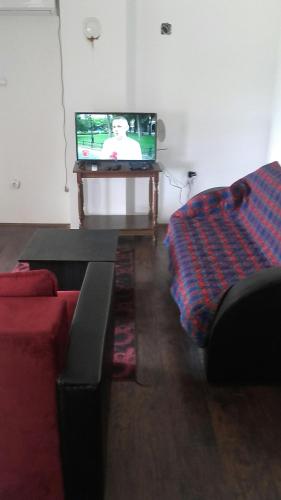 a living room with a couch and a tv at Apartment Pavlovic in Soko Banja
