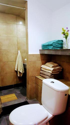 a bathroom with a toilet and some towels at Os Salguieiros (the Willows) in Pontevedra