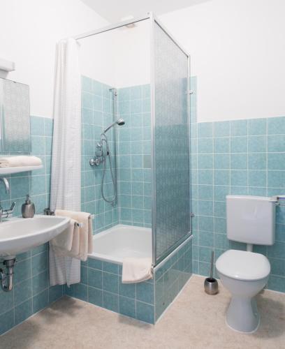 a bathroom with a shower and a toilet and a sink at Altes Forsthaus in Manderscheid