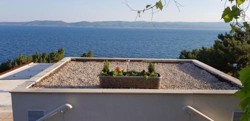 Fotografie z fotogalerie ubytování Apartments Olga & Jure v destinaci Pisak