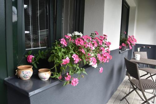 eine Fensterbox mit rosa Blumen auf dem Balkon in der Unterkunft Na Útesu in Jindřichův Hradec