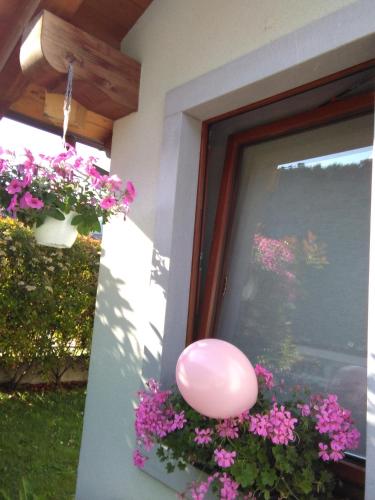 Zahrada ubytování B&B AI PELLEGRINI