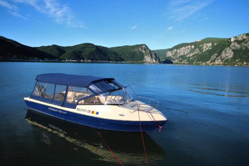 a boat with a blue canopy on a lake at Vila Golful Dunării in Dubova