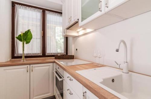 Kuchyň nebo kuchyňský kout v ubytování Villa Augustina