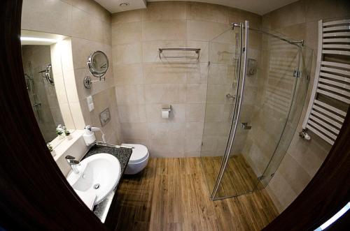 a bathroom with a shower and a sink and a toilet at Lando in Tarnowskie Góry