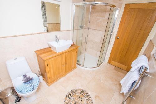 a bathroom with a shower and a toilet and a sink at The Garden Studios in Budleigh Salterton