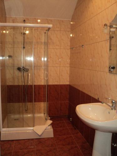 a bathroom with a shower and a toilet and a sink at Pensiunea Irina in Tilişca
