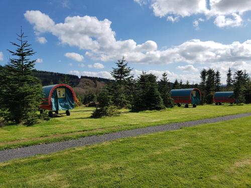 a group of three trailers parked in a field at Clissmann Horse Caravans Glamping in Rathdrum