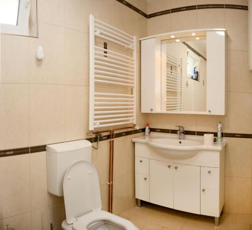a bathroom with a toilet and a sink and a mirror at Apartment Vila Tara in Bihać