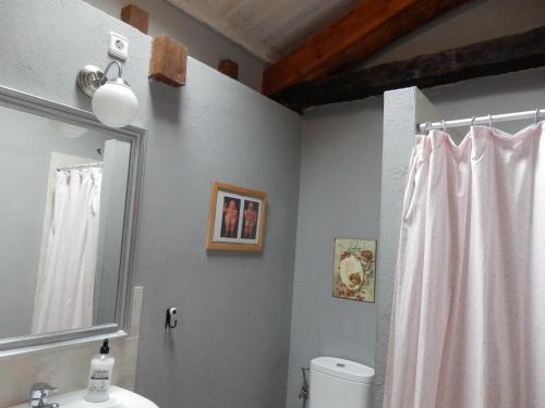 a bathroom with a sink and a toilet and a mirror at Casa Candana in La Cándana de Curueño