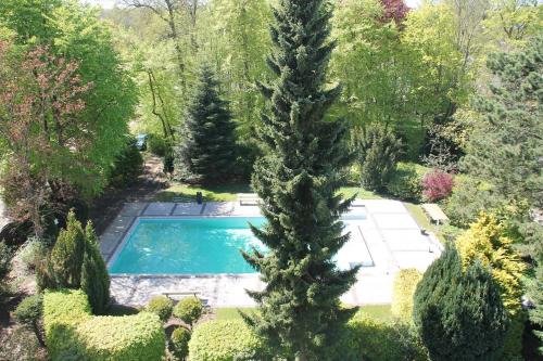 シャルボイツにあるRiviera Scharbeutzの庭園内のスイミングプールの景色