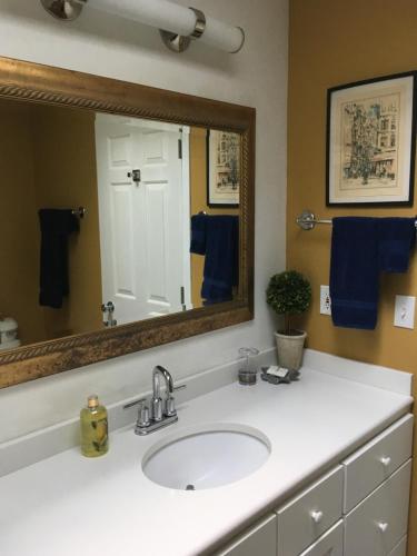 a bathroom with a sink and a mirror at Derinda House in Elizabeth