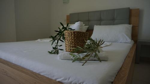 a bed with plants sitting on top of it at Hotel Ionian in Dhërmi