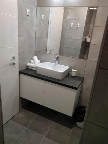 a bathroom with a sink and a mirror at Simića ćoše in Vrdnik