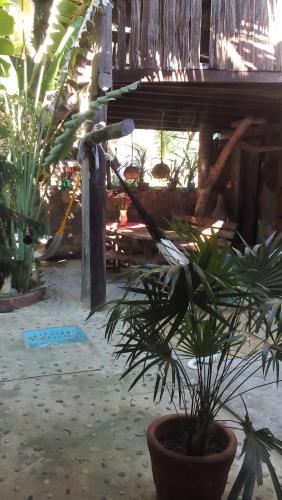 Un jardín fuera de Castillo Oasis