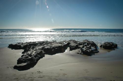 a group of rocks on a beach with the ocean at Sundeck Gardens in Maroochydore