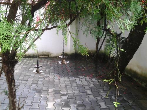 a courtyard with two swings under a tree at Bon Accord Mirissa in Mirissa