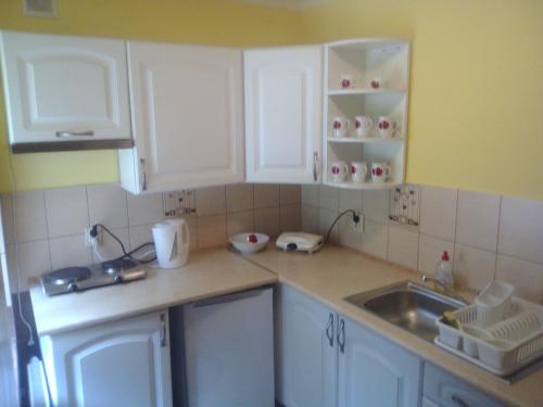 a kitchen with white cabinets and a sink at Ośrodek Wczasowy "GRONOSTAJ" in Rajcza