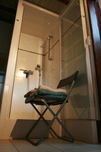 einen Stuhl im Bad mit Dusche in der Unterkunft Petite Cahute in Soultzmatt