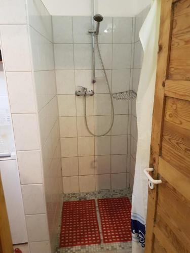 W łazience znajduje się prysznic i czerwona podłoga wyłożona kafelkami. w obiekcie Villa Rihuini Eco Wine house Transylvania w mieście Richişu