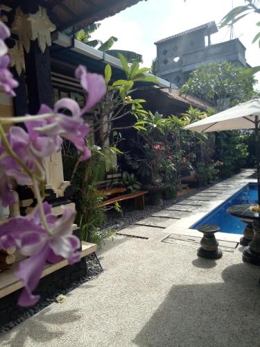 Κήπος έξω από το Mimba Private House