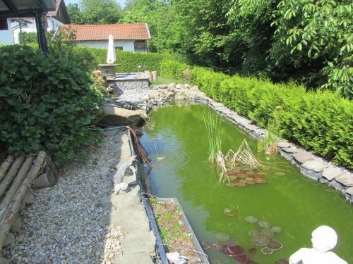 a garden with a pond of green water at Ferienwohnungen Fuchshuber in Neukirchen vorm Wald